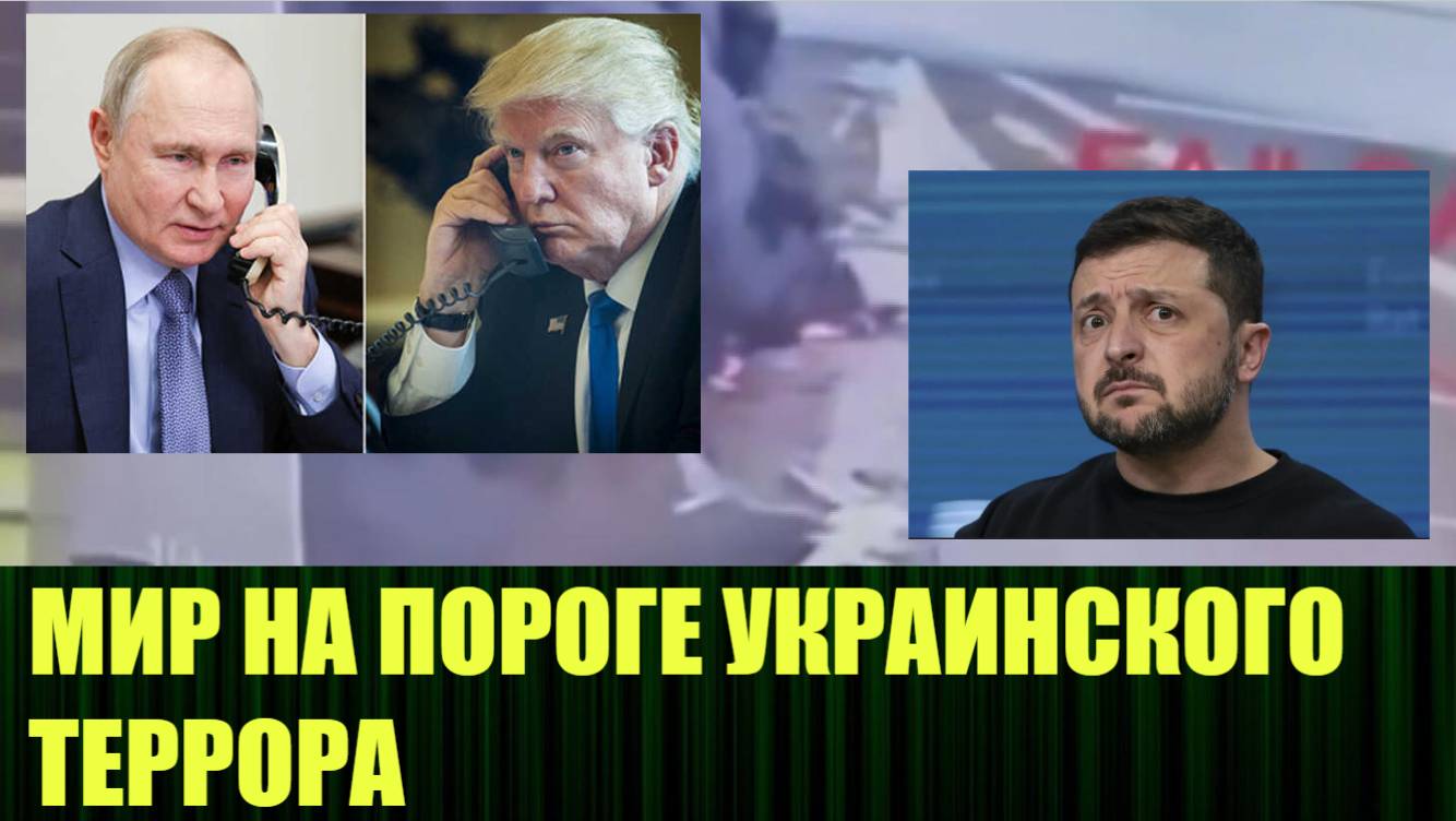 О чём говорили по телефону Путин и Трамп, после террористической атаки Украины