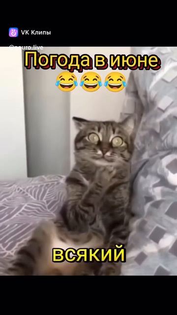 Погода в июне