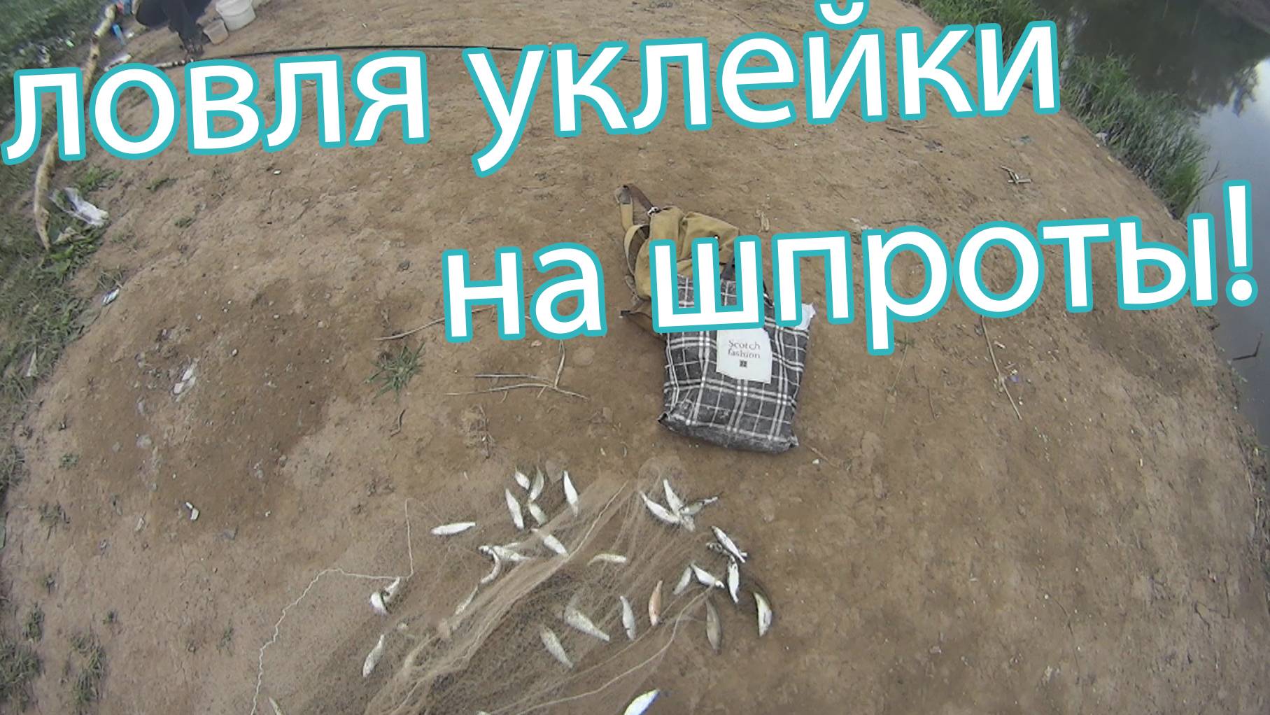 Ловлю Уклейку для шпротов! Рыбалка на кастинговую сеть самоделку! Рыбы полно!