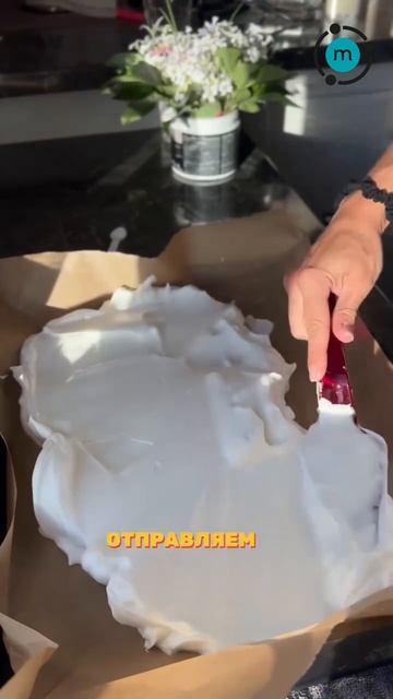 Меренговый рулет без крахмала на альбумине Molecularmeal (WB: 216565471)