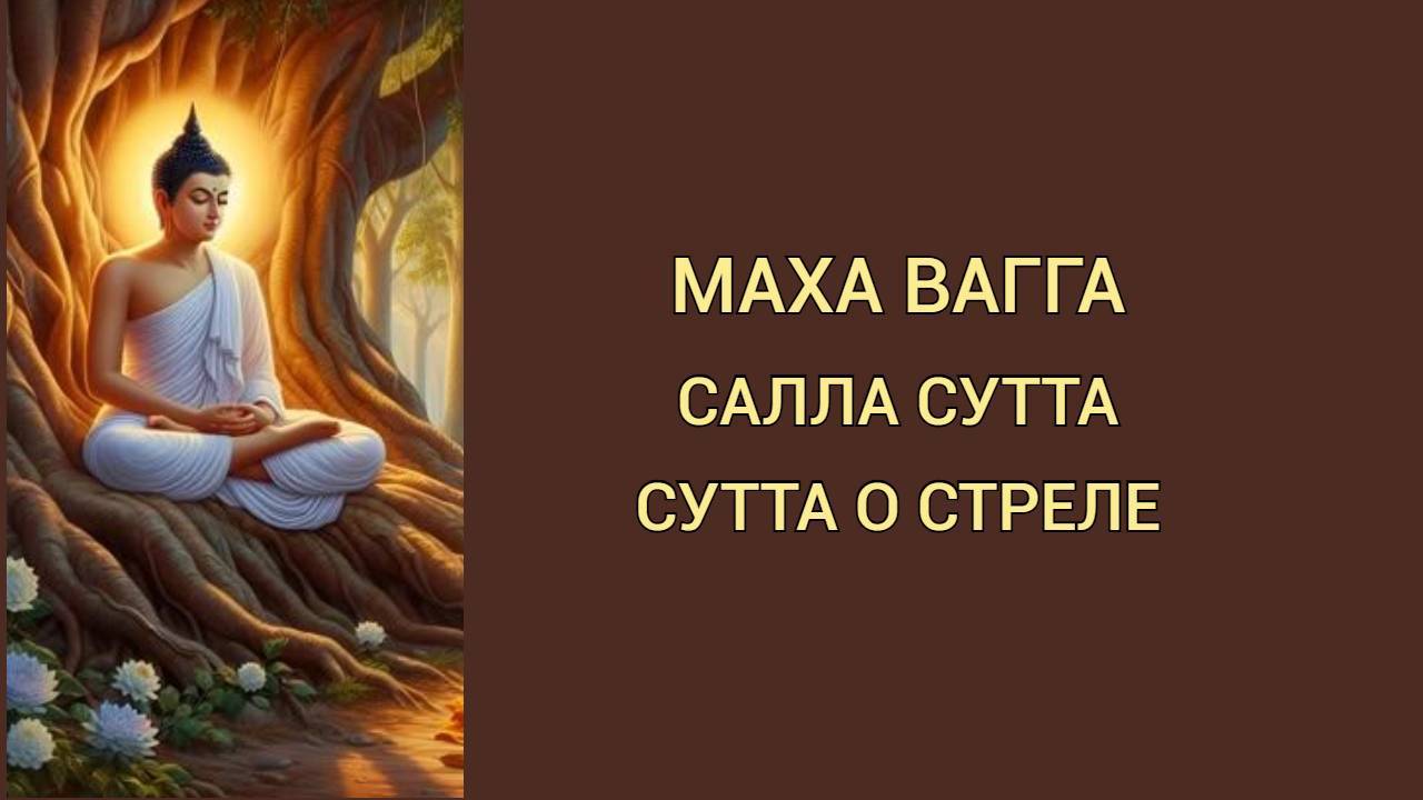 Маха Вагга Салла Сутта