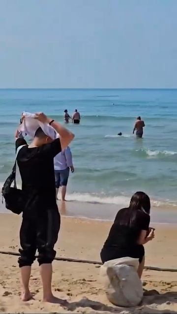 Обстановка на пляже в Анапе: местные жители купаются в море с детьми на фоне волонтеров, убирающи...
