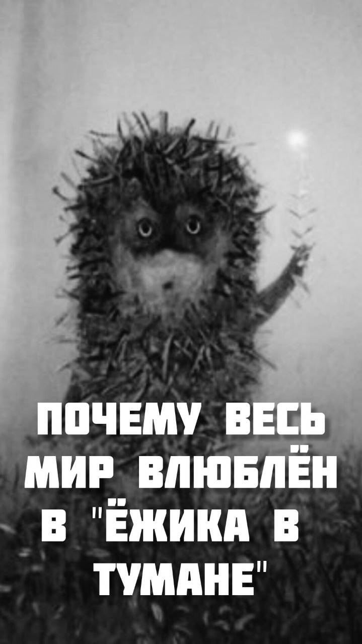 Почему весь мир влюблён в «Ёжика в тумане»? #shorts #shortsvideo #short #туман #ёжик #мультфильм