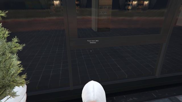 Grand Theft Auto V 2025.06.06 - 15.52.10.03.DVR - Trim