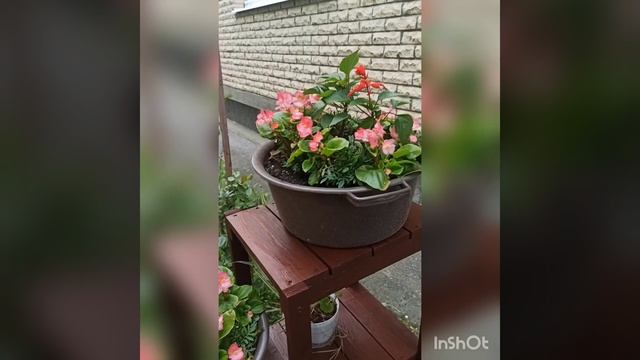 Начало лета ч 1