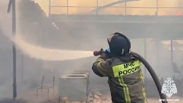 Пожар город Анапа 06.06.2025г.