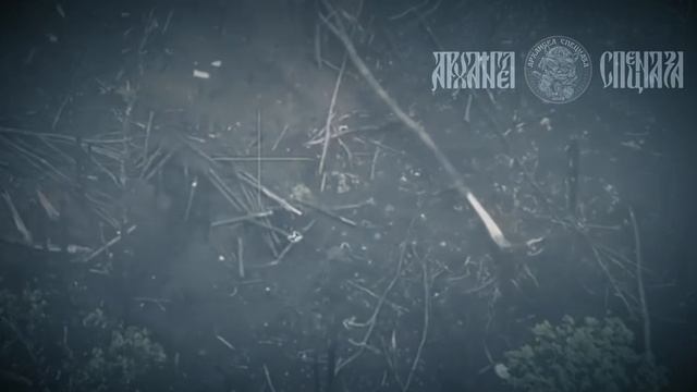 🤙 Подборка «трёхочковых» попаданий с использованием «КВН»!  Благодаря выдержке и уверенности наш...