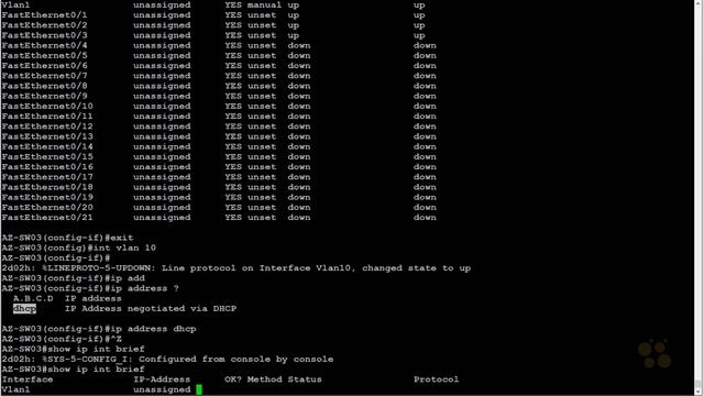CCNA_259_2. DHCP Server, Client, and Relay