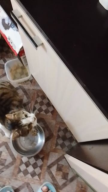 Масик и Нюша