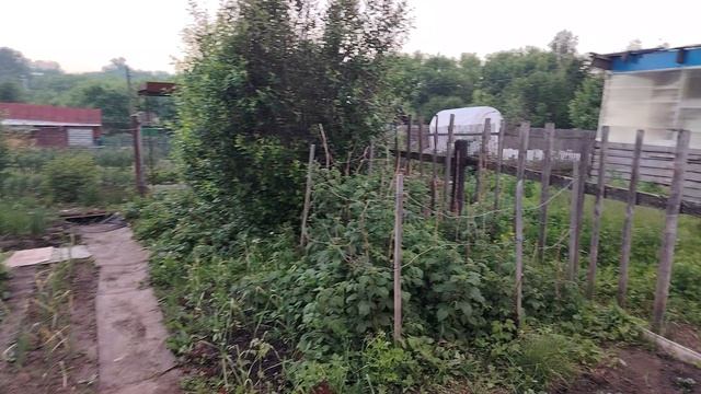 Дача. Вечер на даче. Дача для начинающих.