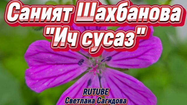 Саният Шахбанова _Ич сусаз.mp4