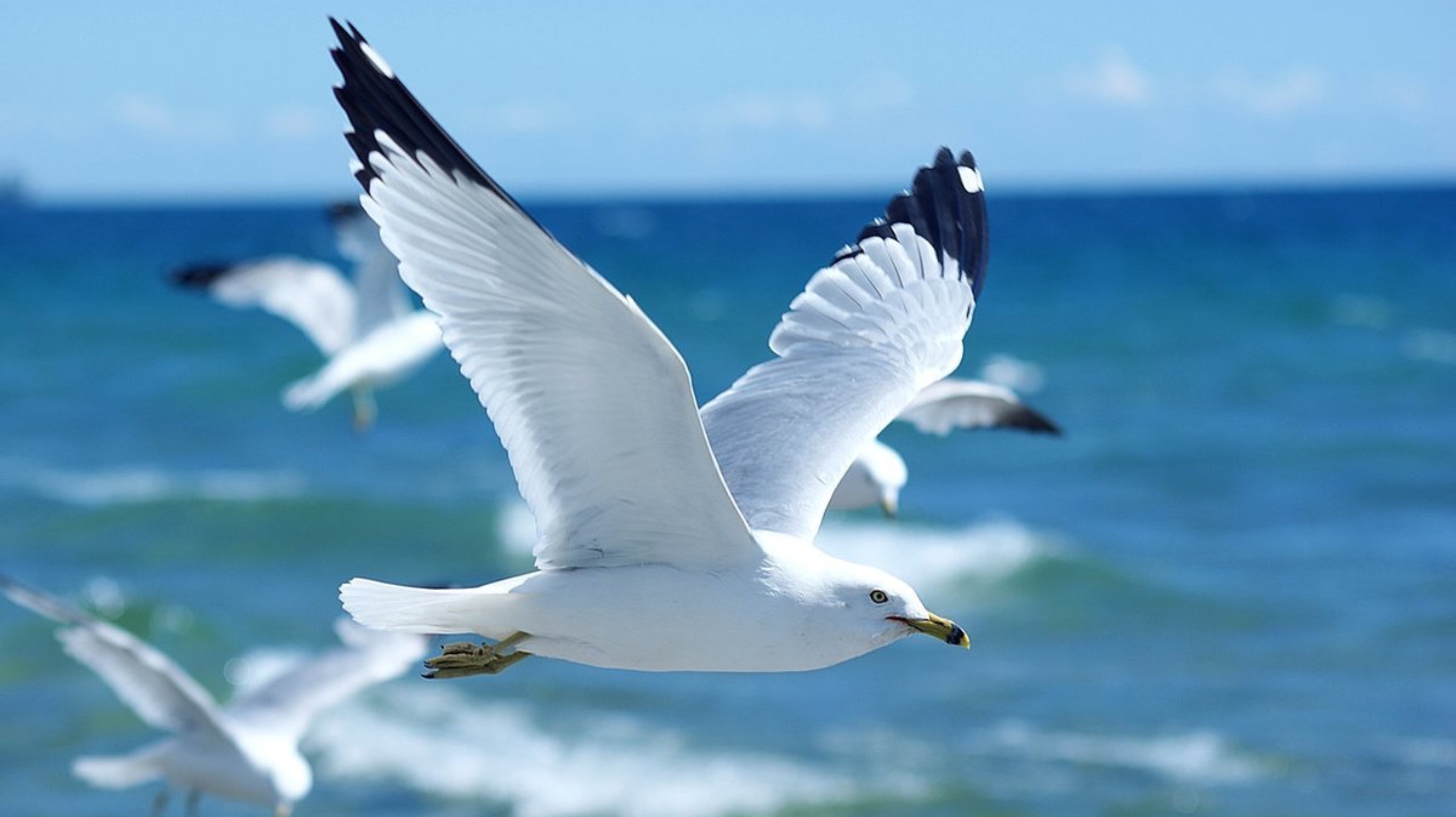 #топыкатегорий #Поездка к морю. 216 км, пути. Подъезжаем👍