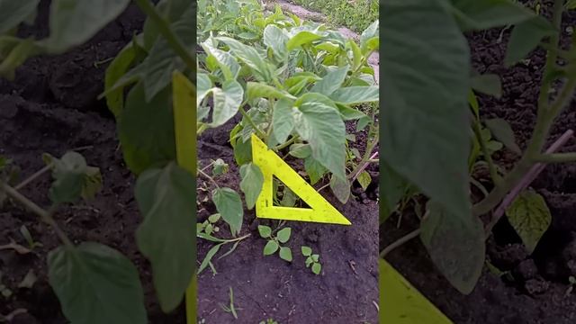 1000018851.mp4