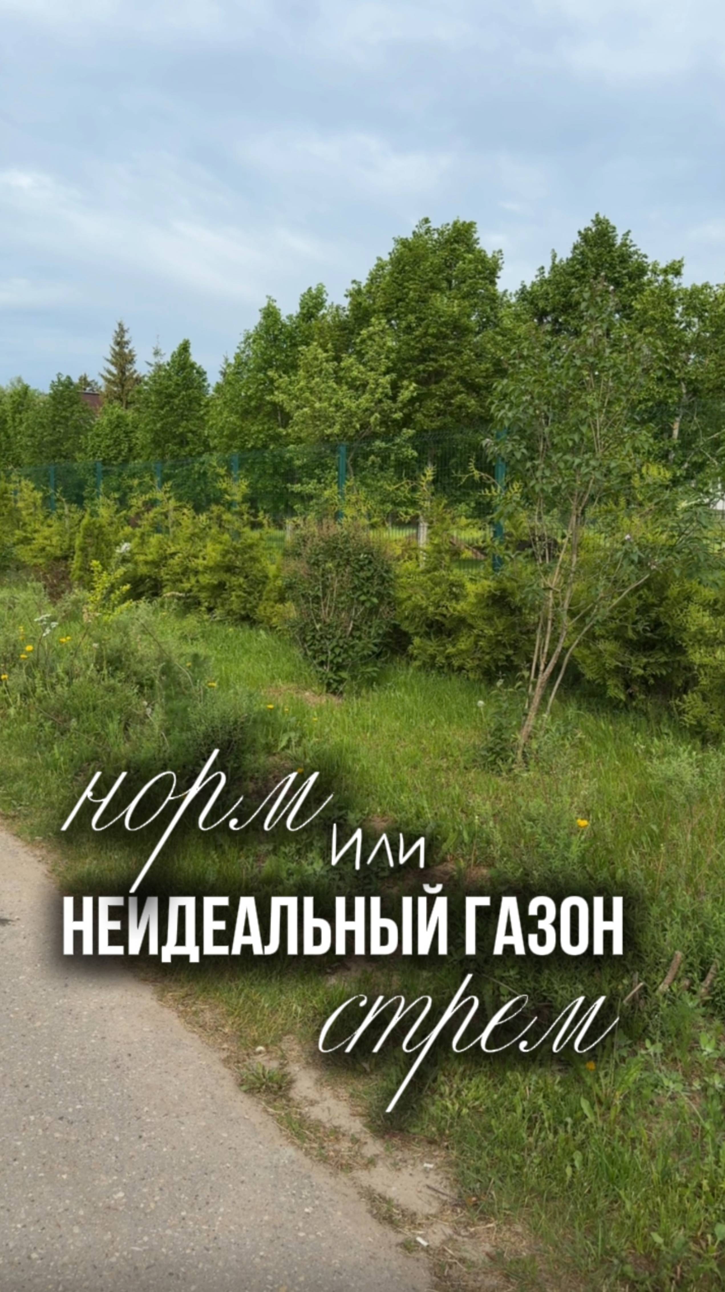 Обязательно ли иметь в саду идеальный газон?