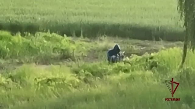 Теракт пресечен на военном объекте в Рязанской области — Росгвардия