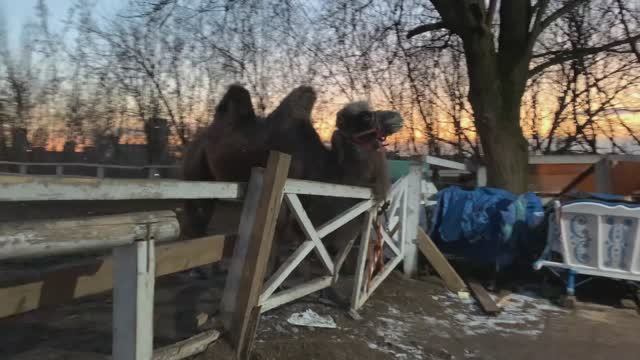 Ежедневная беговая тренировка :)