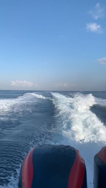 Мчим на всех парусах на остров 🌊«Нусапенида»