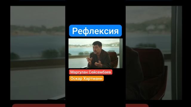 Рефлексия.mp4