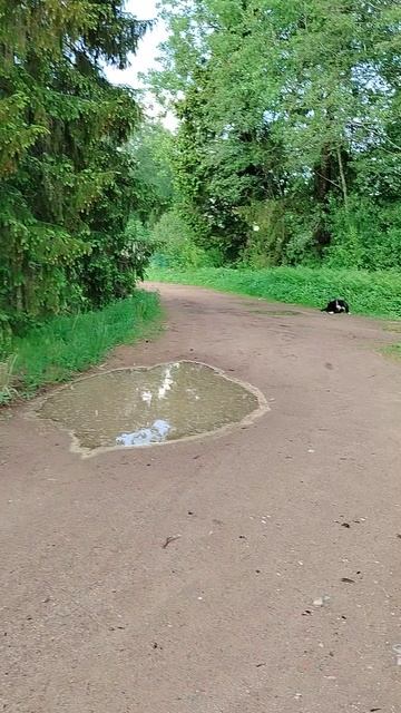После дождя