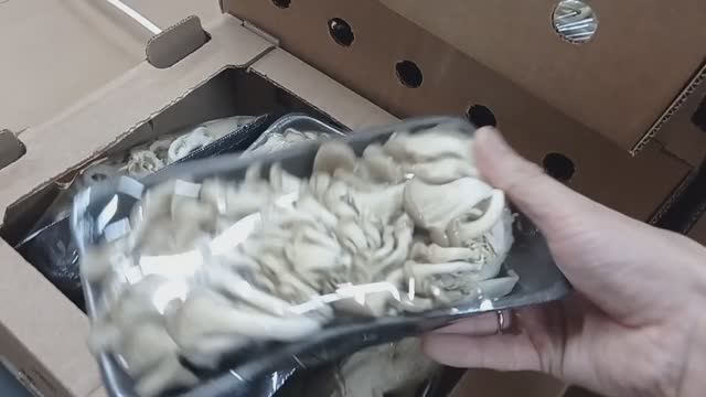 В СВЕТОФОРЕ❗ПРИВЕЗЛИ ПРОДУКТЫ ПО НОРМАЛЬНЫМ ЦЕНАМ😱Большой Обзор Продуктов✅Товаров✅