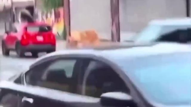 В Нью-Йорке своя атмосфера