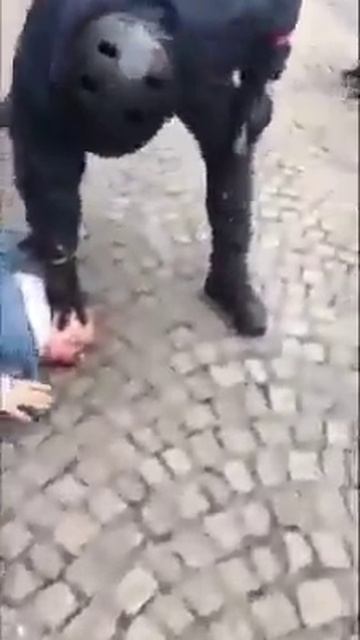 бьёт еврояйцо (голову)