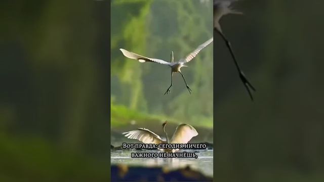 1000037774.mp4