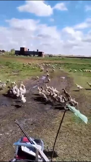 У меня так на работе