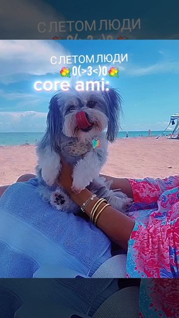 С ЛЕТОМ ЛЮДИ (❁´◡`❁)