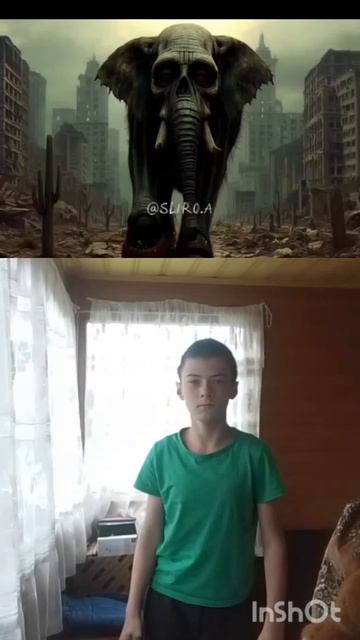 Интоянские мемы?