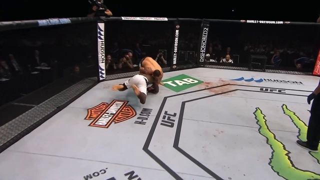 UFC 308: Макс Сносит Топурию? Хамзат Чимаев Идёт За Поясом