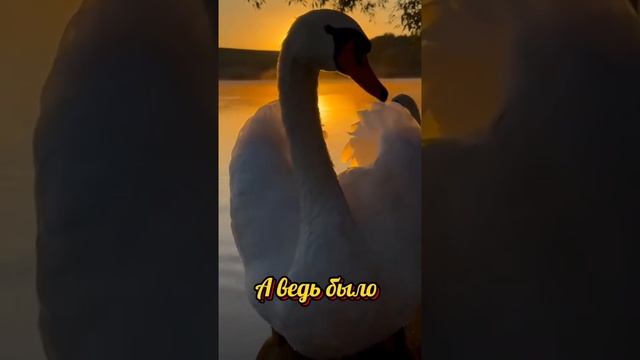 Леонид Мангупли - А ведь было