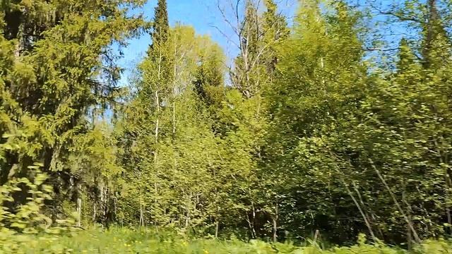 06-06-2025  День пограничника