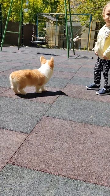 Манюня