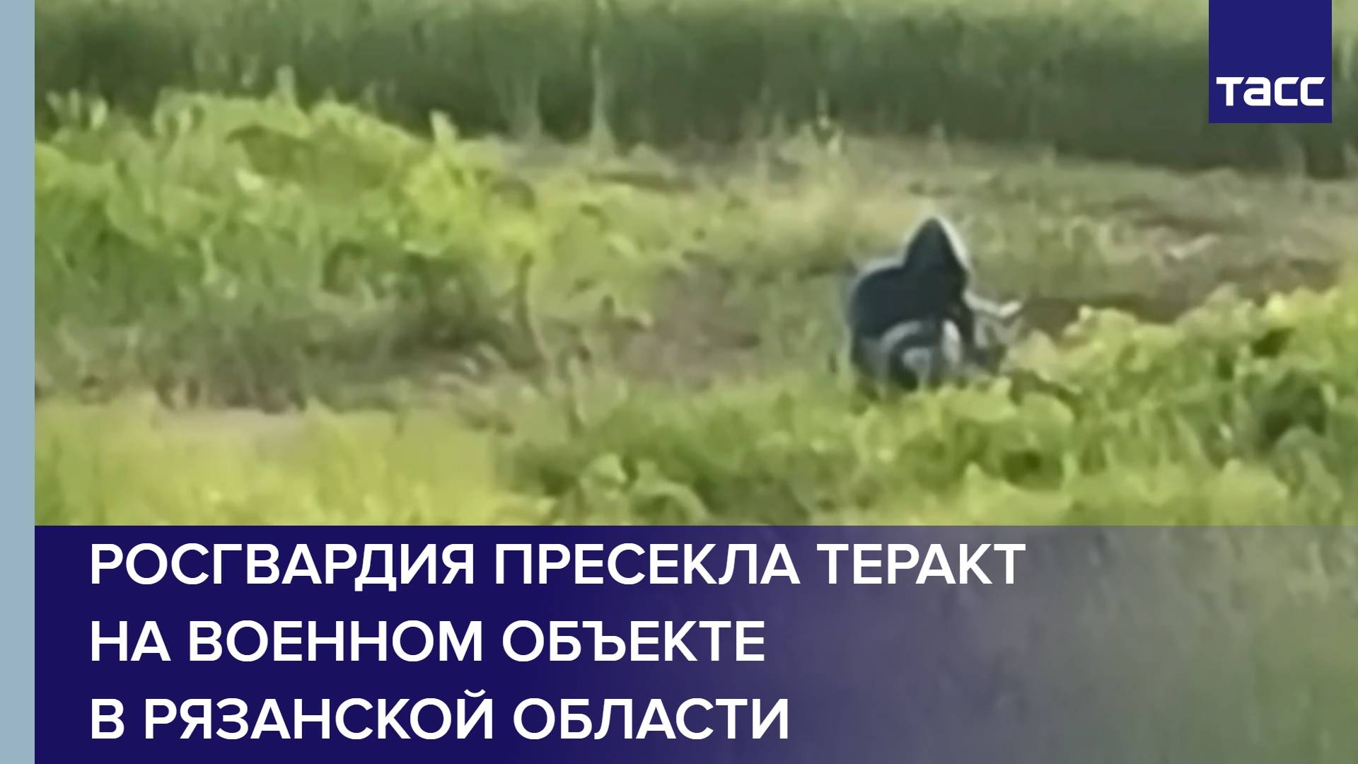 Росгвардия пресекла теракт на военном объекте в Рязанской области