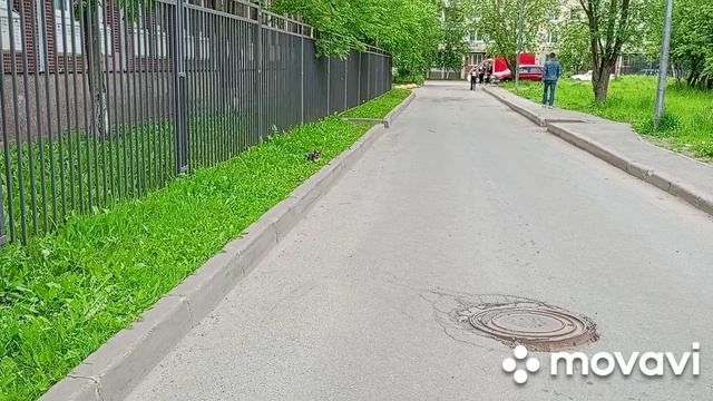 Влог/отключили горячую воду/ как проходят наши дни