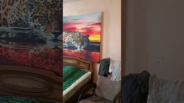 недвижимость