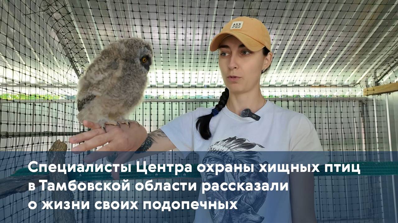 Специалисты Центра охраны хищных птиц в Тамбовской области рассказали о жизни своих подопечных