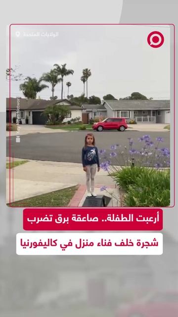 صاعقة تضرب شجرة وترعب طفلة بولاية كاليفورنيا الأمريكية