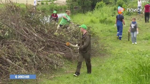 Субботник в Сестрорецком парке