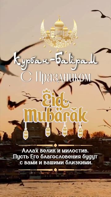 6.06.2025 КУРБАН БАЙРАМ #курбанбайрам #махачкала #дагестан #reels