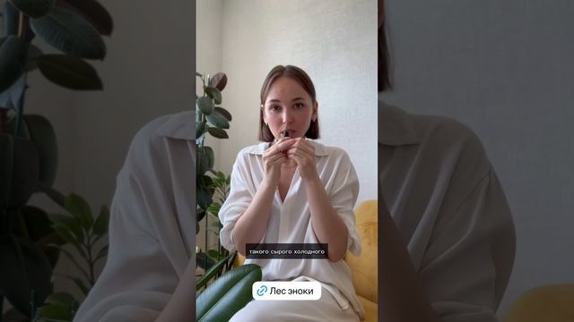 Лес Эноки