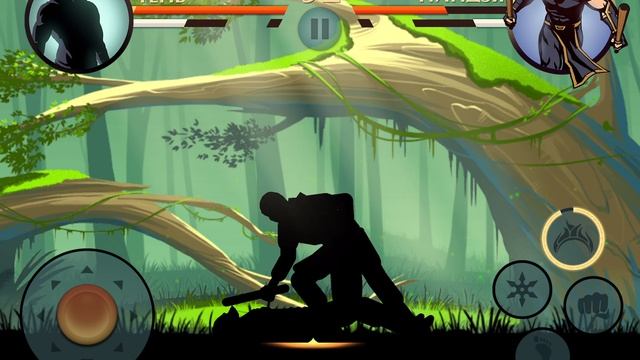 Летний Бой в Shadow Fight 2 № 94