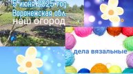Наш огород🌿Был град💦О делах вязальных🤗Воронежская обл.5.06.25 г.
