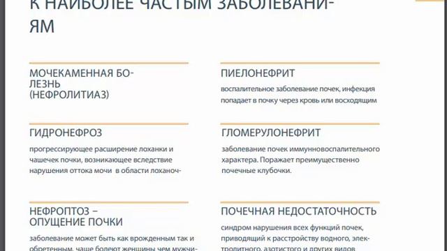 Вэбинар Мочевыделительная система.