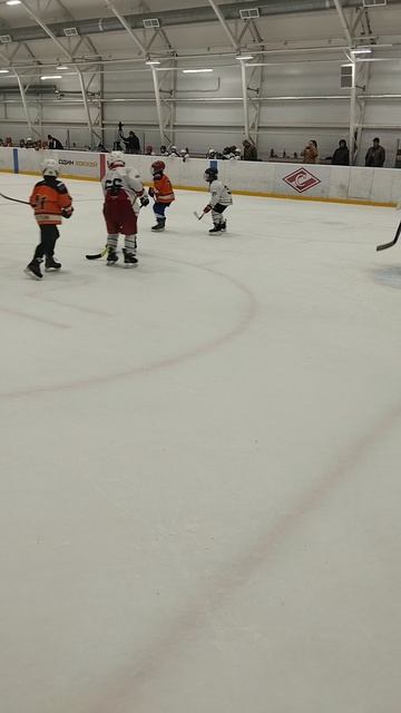 матч хоккея 🏑