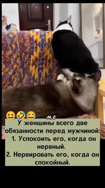 Ох уж эти женщины😜