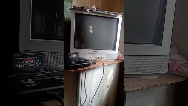 SEGAAA SONIC 3D blast crt tv