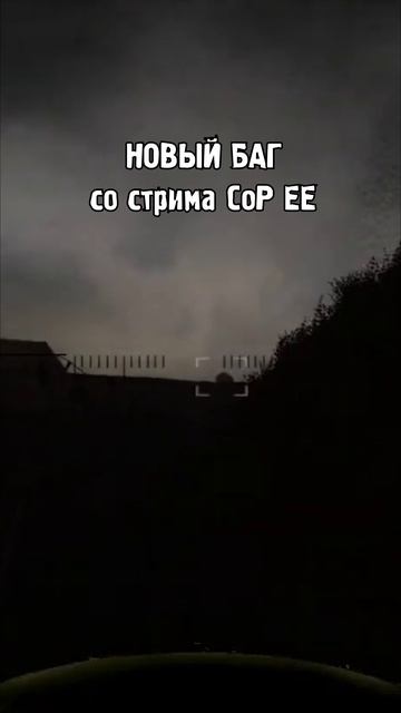 НОВЫЙ БАГ ЛЕТАЮЩАЯ ПЛОТЬ STALKER Enhanced Edition