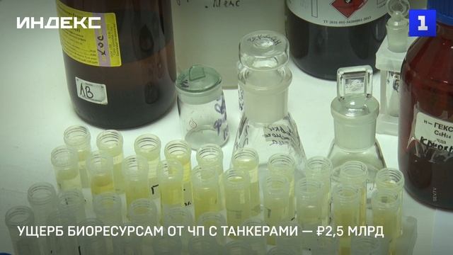 Ущерб биоресурсам от ЧП с танкерами — ₽2,5 млрд